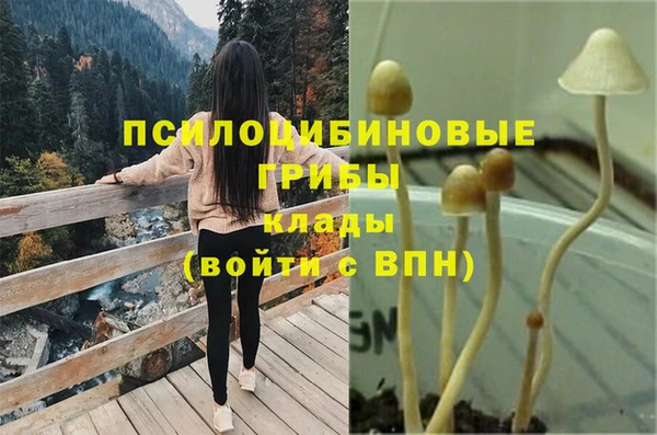 mdpv Медногорск