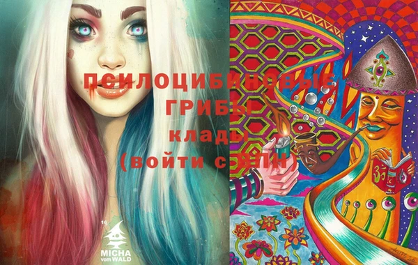 не бодяженный Магас