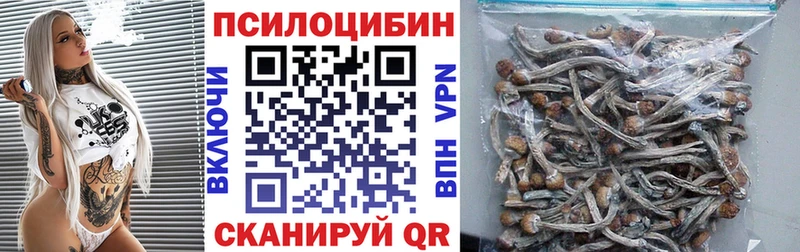 купить   Струнино  KRAKEN вход  Галлюциногенные грибы Psilocybe 